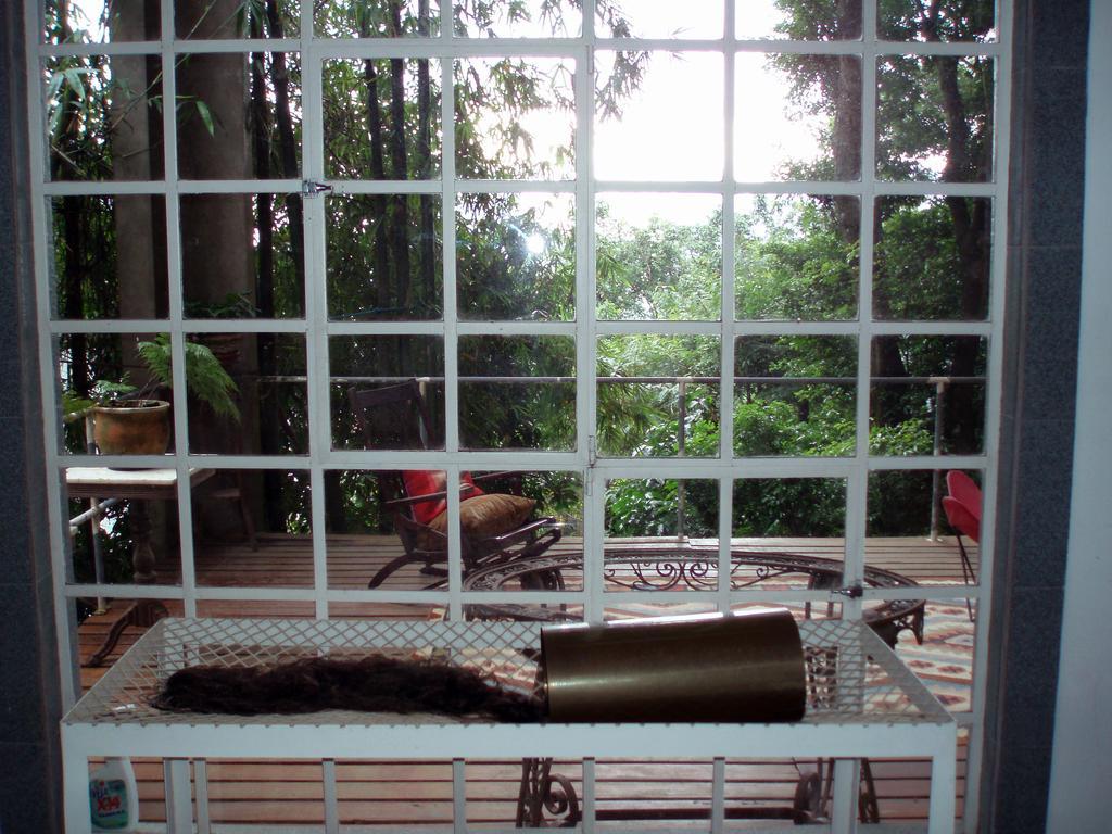 B&B Vitoria Regia Río de Janeiro Habitación foto